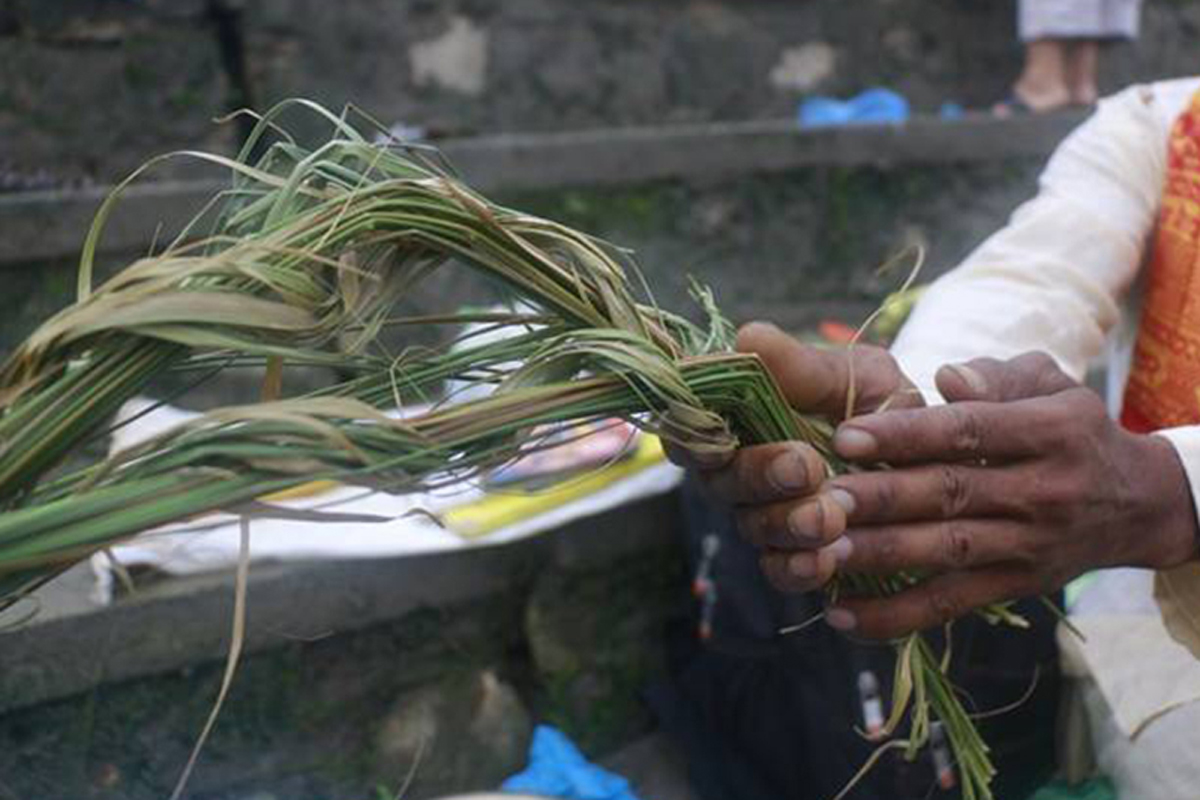 कुशे औँसी (गोकर्णे औँसी) पितृ सम्मान दिवस